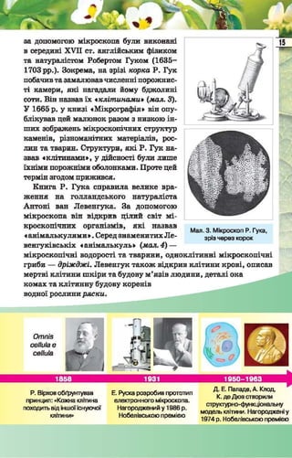 Підручник  з біології 6 клас, Костіков