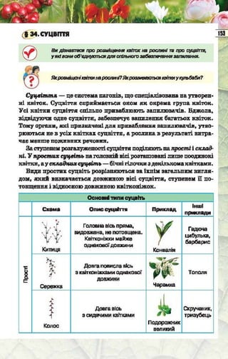 Підручник  з біології 6 клас, Костіков