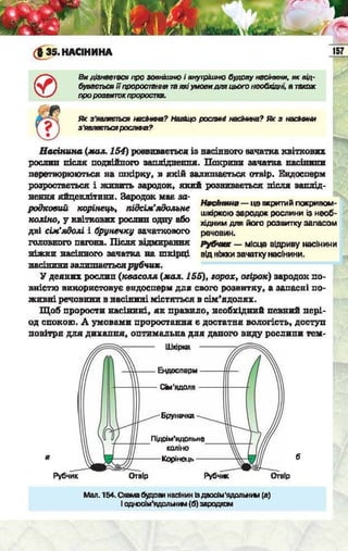 Підручник  з біології 6 клас, Костіков