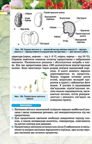 Підручник  з біології 6 клас, Костіков