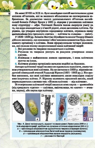 Підручник  з біології 6 клас, Костіков