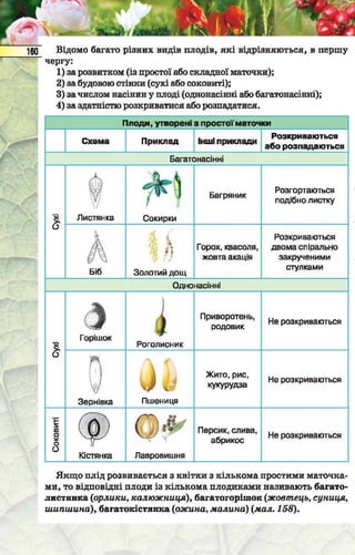Підручник  з біології 6 клас, Костіков