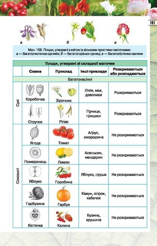 Підручник  з біології 6 клас, Костіков