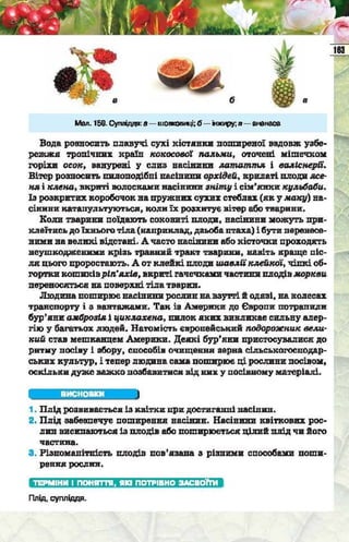 Підручник  з біології 6 клас, Костіков