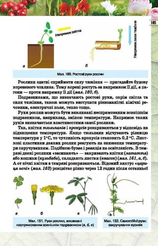 Підручник  з біології 6 клас, Костіков