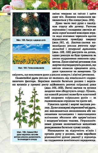 Підручник  з біології 6 клас, Костіков