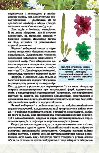 Підручник  з біології 6 клас, Костіков