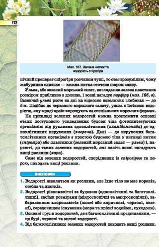 Підручник  з біології 6 клас, Костіков