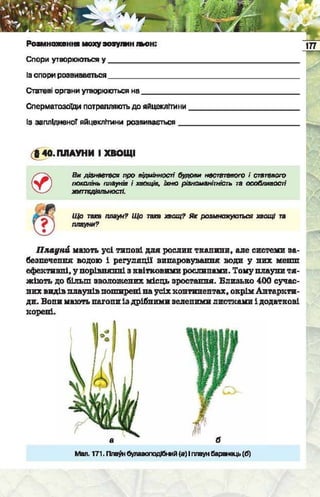 Підручник  з біології 6 клас, Костіков