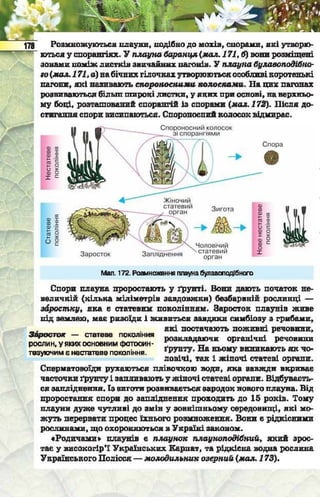 Підручник  з біології 6 клас, Костіков