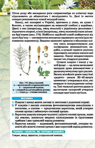 Підручник  з біології 6 клас, Костіков