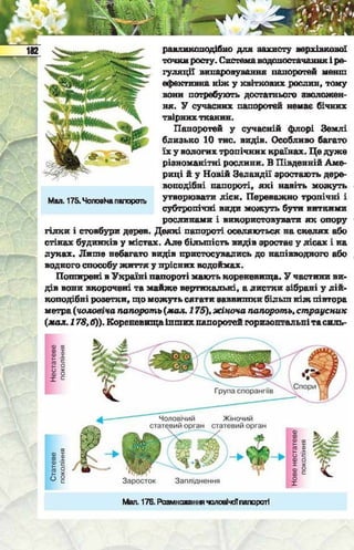Підручник  з біології 6 клас, Костіков