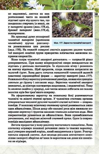 Підручник  з біології 6 клас, Костіков