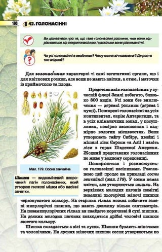 Підручник  з біології 6 клас, Костіков