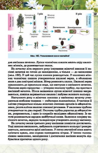 Підручник  з біології 6 клас, Костіков
