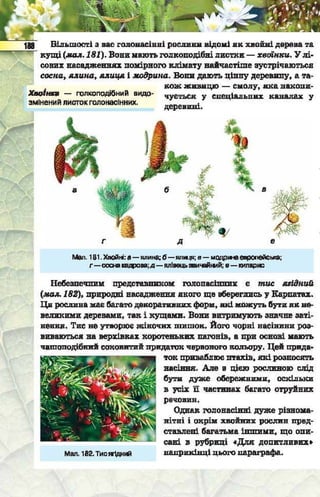 Підручник  з біології 6 клас, Костіков