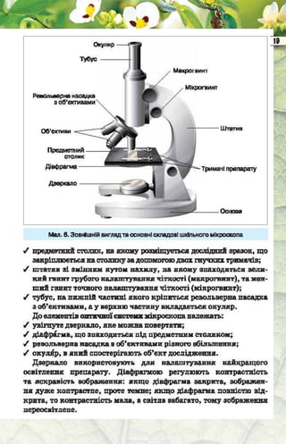 Підручник  з біології 6 клас, Костіков