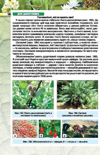Підручник  з біології 6 клас, Костіков