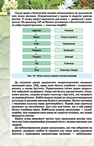 Підручник  з біології 6 клас, Костіков