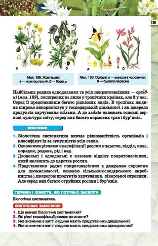 Підручник  з біології 6 клас, Костіков