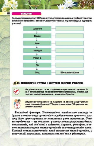 Підручник  з біології 6 клас, Костіков