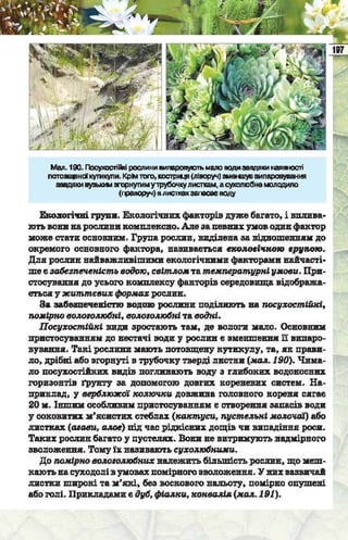 Підручник  з біології 6 клас, Костіков