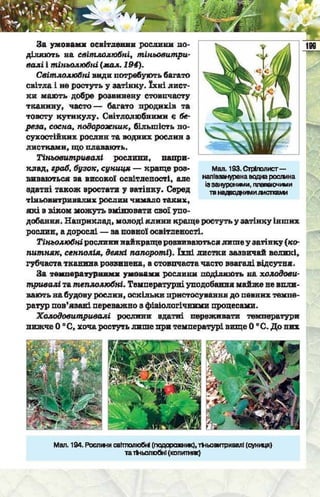 Підручник  з біології 6 клас, Костіков