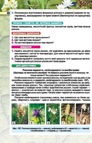 Підручник  з біології 6 клас, Костіков