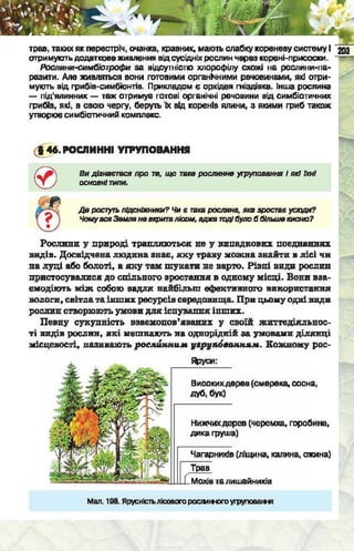 Підручник  з біології 6 клас, Костіков