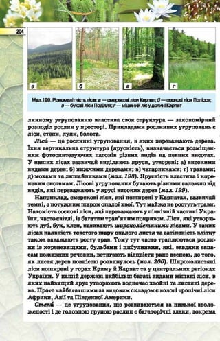 Підручник  з біології 6 клас, Костіков