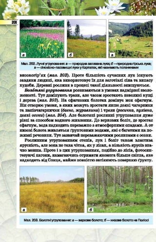 Підручник  з біології 6 клас, Костіков