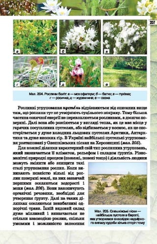 Підручник  з біології 6 клас, Костіков