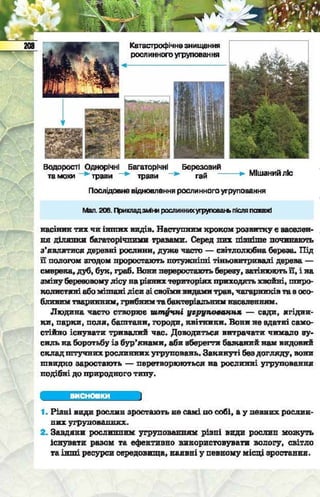 Підручник  з біології 6 клас, Костіков