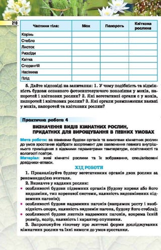 Підручник  з біології 6 клас, Костіков