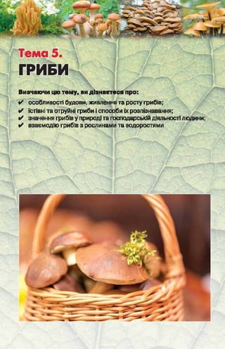 Підручник  з біології 6 клас, Костіков