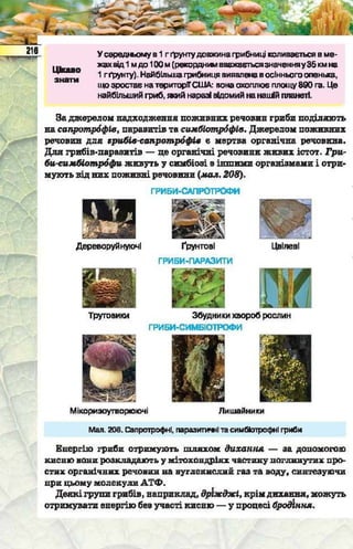 Підручник  з біології 6 клас, Костіков