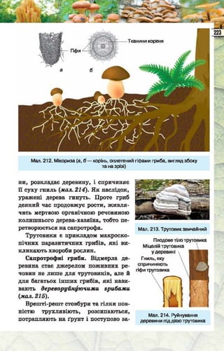 Підручник  з біології 6 клас, Костіков