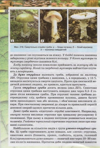 Підручник  з біології 6 клас, Костіков