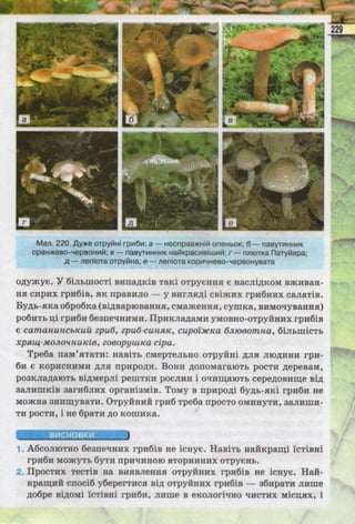 Підручник  з біології 6 клас, Костіков