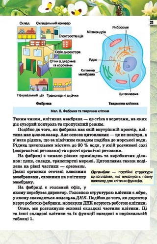 Підручник  з біології 6 клас, Костіков