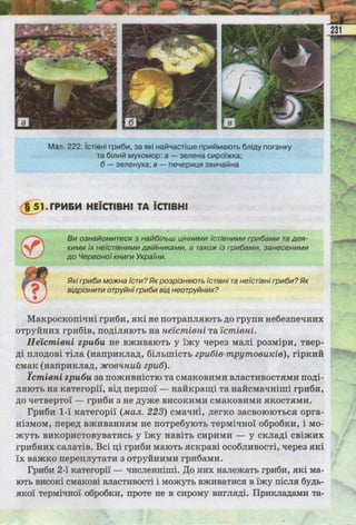 Підручник  з біології 6 клас, Костіков