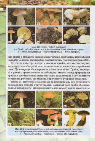 Підручник  з біології 6 клас, Костіков