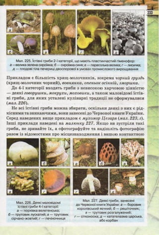 Підручник  з біології 6 клас, Костіков