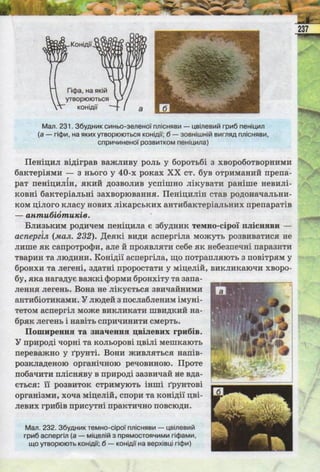 Підручник  з біології 6 клас, Костіков