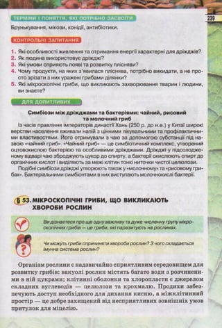Підручник  з біології 6 клас, Костіков