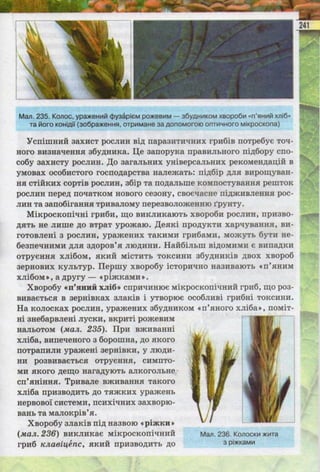Підручник  з біології 6 клас, Костіков