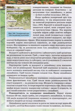 Підручник  з біології 6 клас, Костіков