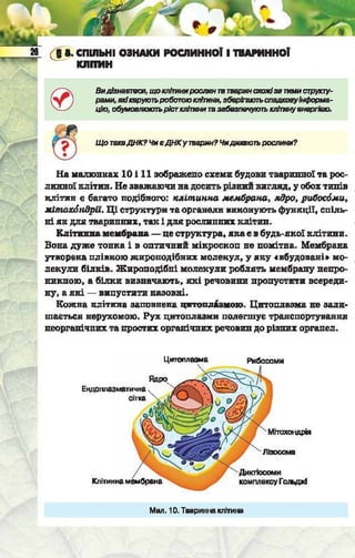 Підручник  з біології 6 клас, Костіков