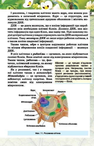 Підручник  з біології 6 клас, Костіков