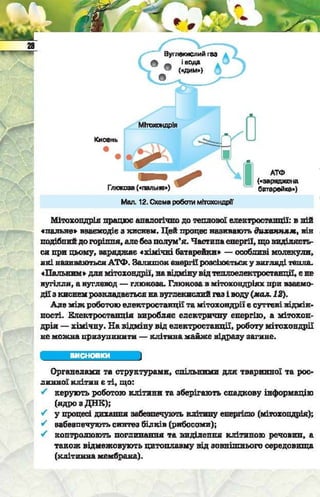 Підручник  з біології 6 клас, Костіков